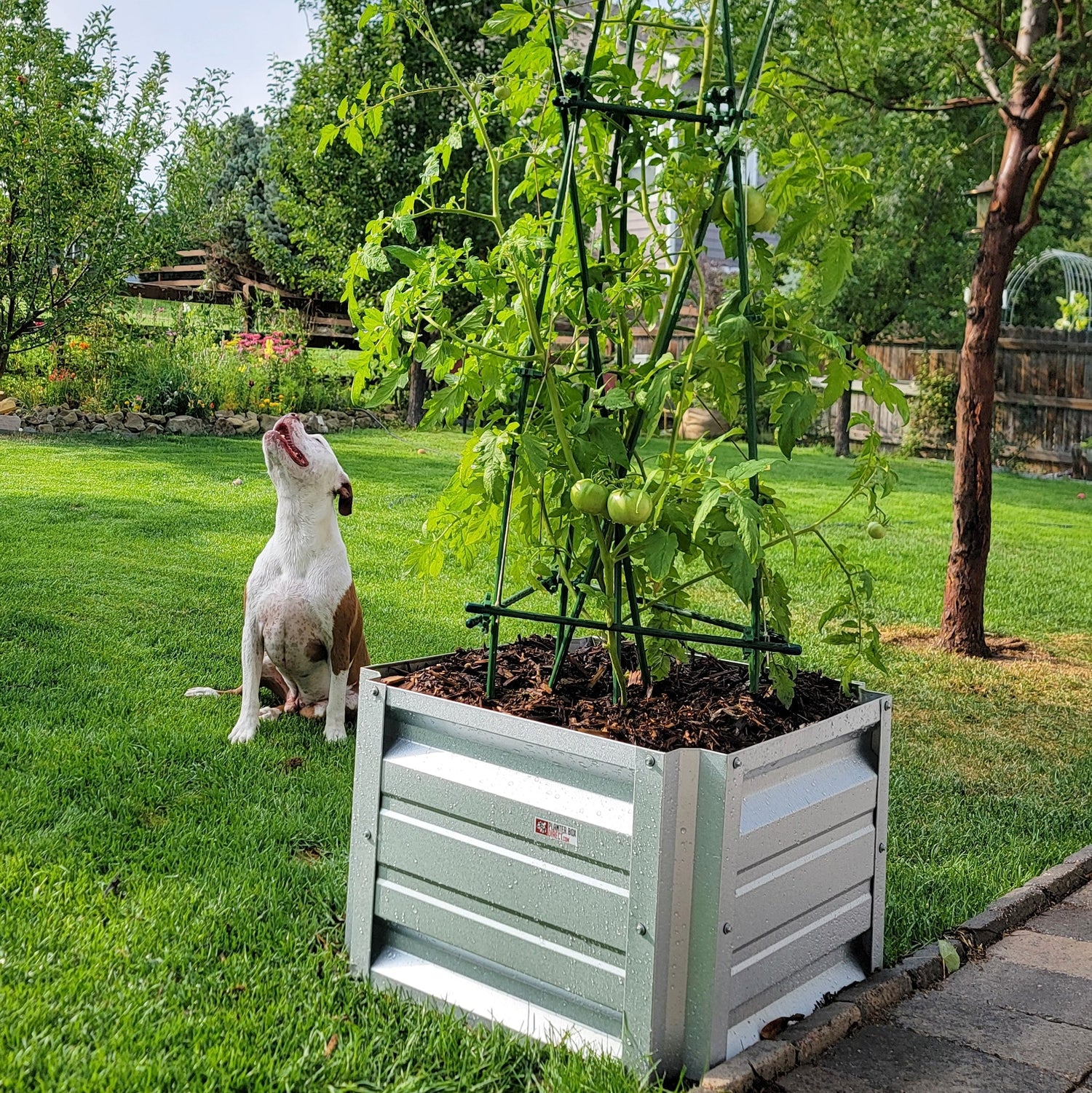 C-BITE Kits and Garden Stakes