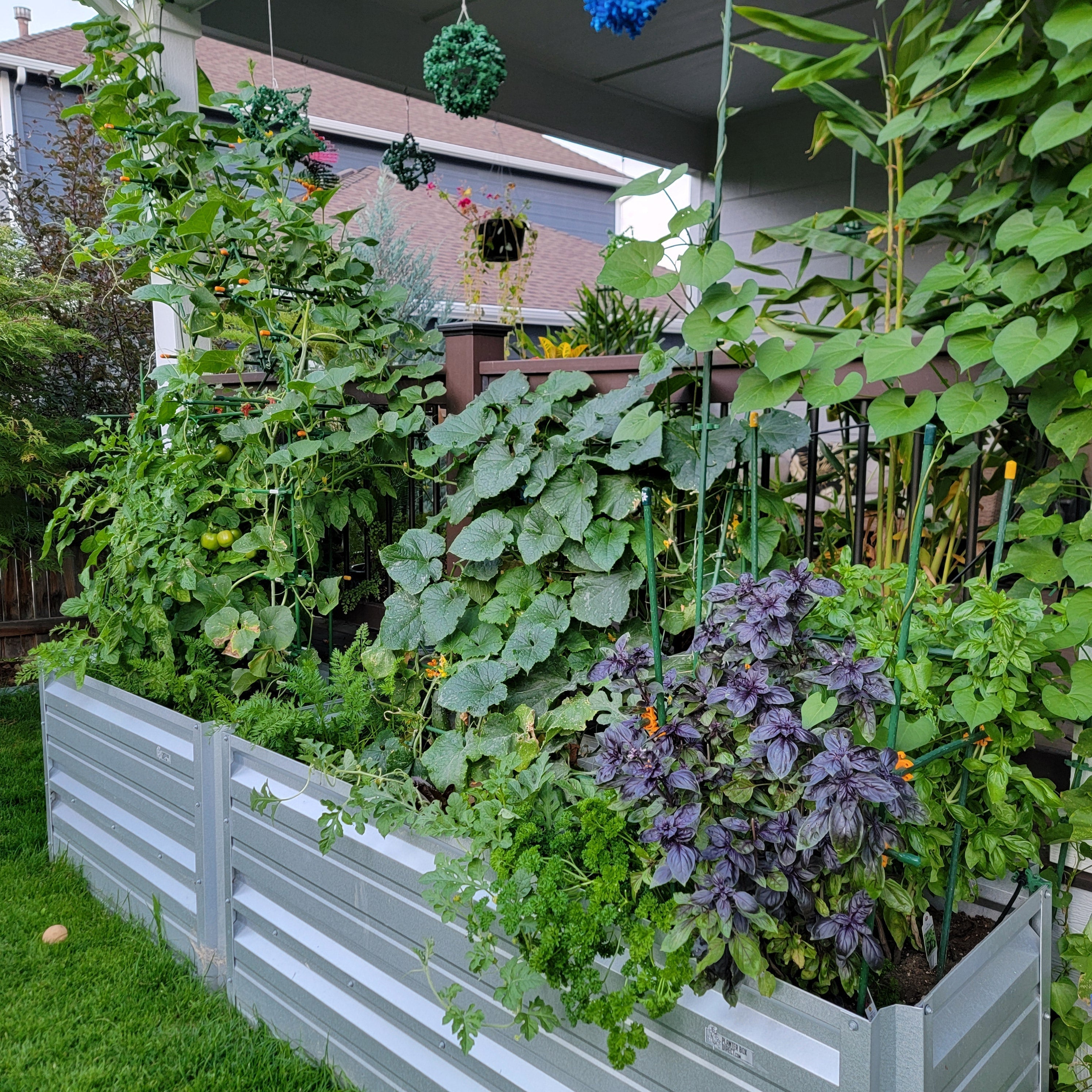 Build Smarter, Grow Better :: What Shape Trellis Should You Build?