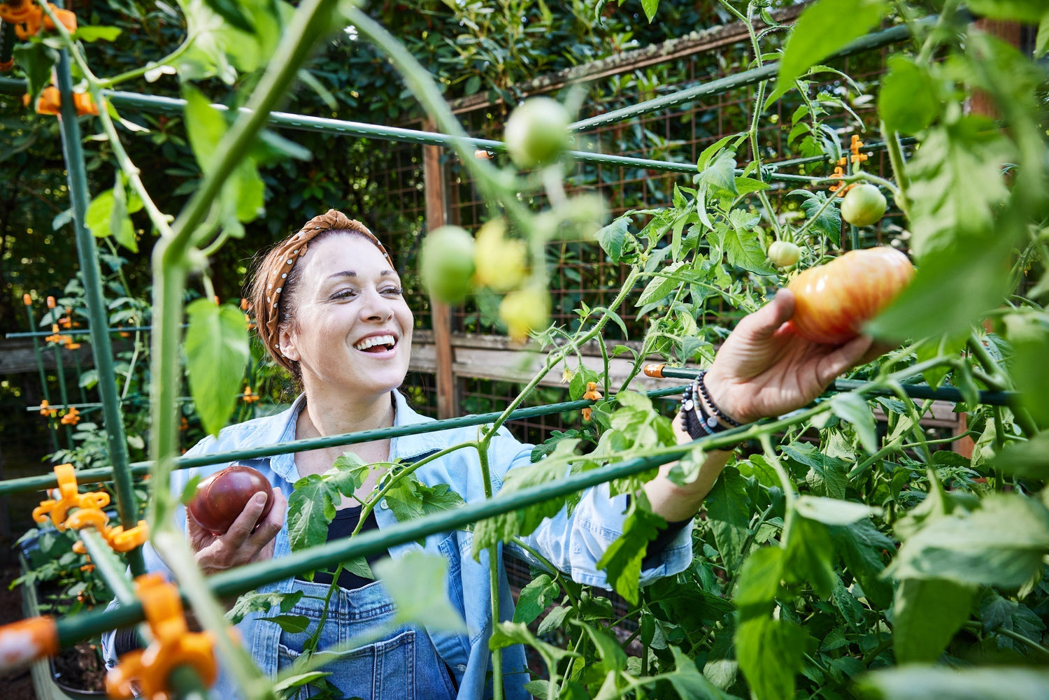 The Critical Moment: Why Plant Support Matters Most Right Now