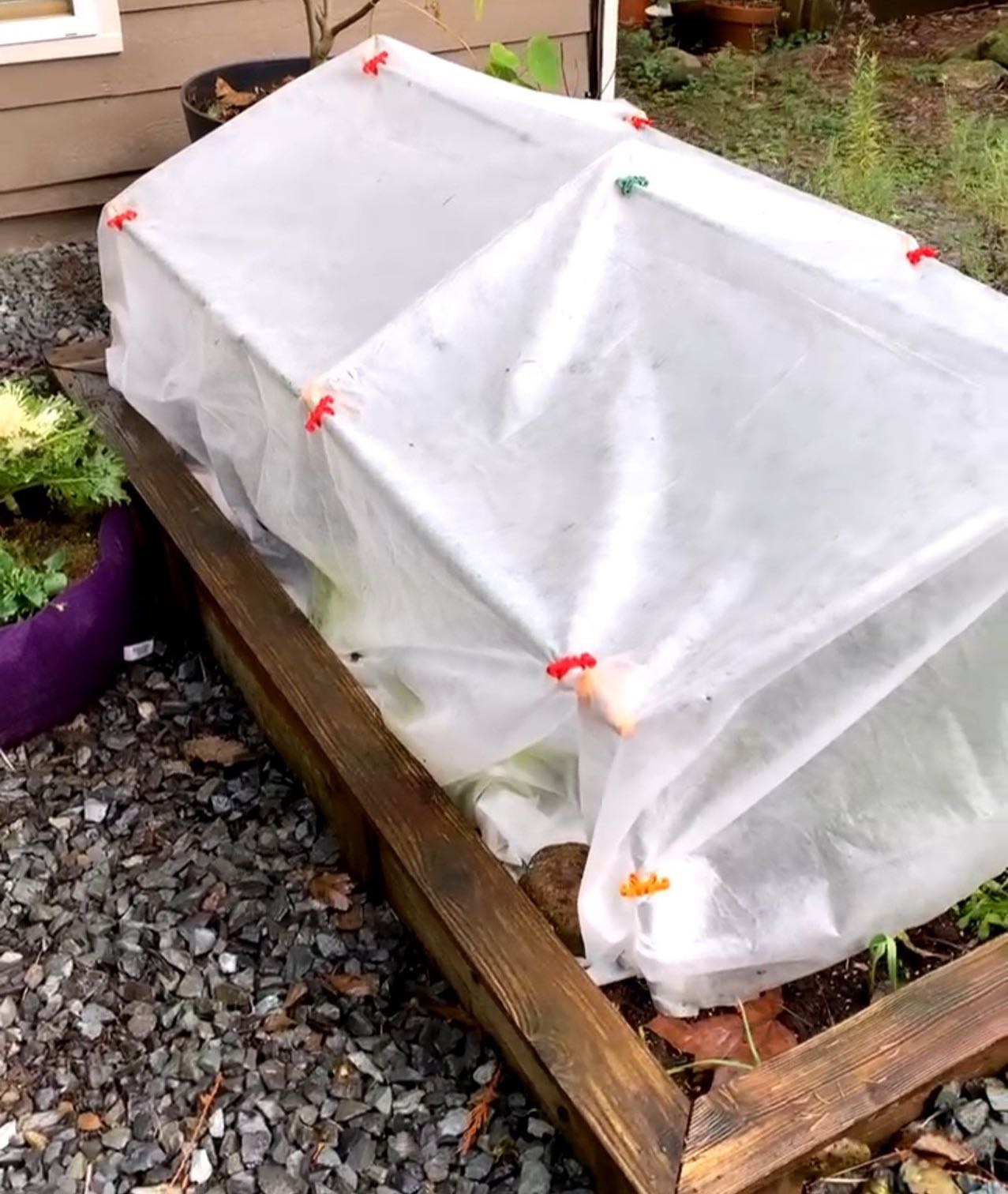 a garden bed with shade cloth and a C-BITE frame