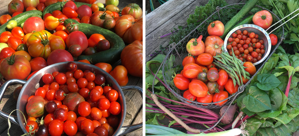 GROW INSPIRED: FROM GARDEN TO PANTRY WITH AUTHOR STEPHANIE THUROW