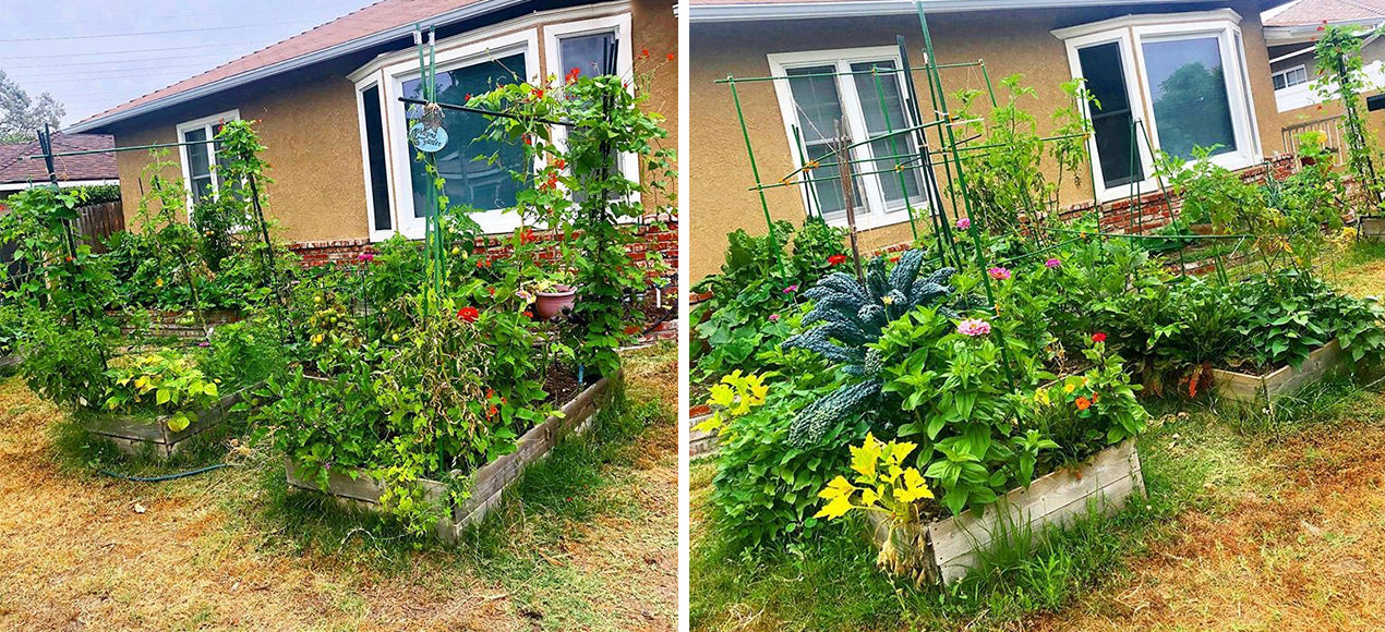 GROW INSPIRED: AN URBAN GARDEN IN SOUTHERN CALIFORNIA