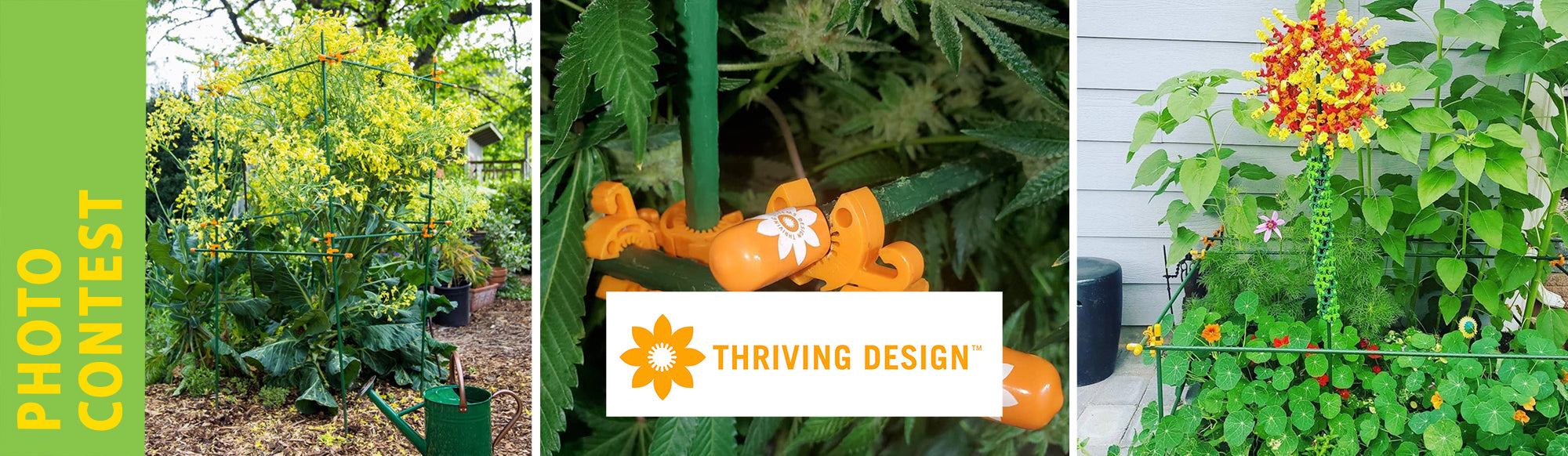 THRIVING DESIGN PHOTO CONTEST