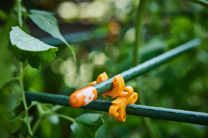 C-BITE Garden Stake Clips - 50-50 Assortment of 100 Orange and Lime Stake Clips - Thriving Design