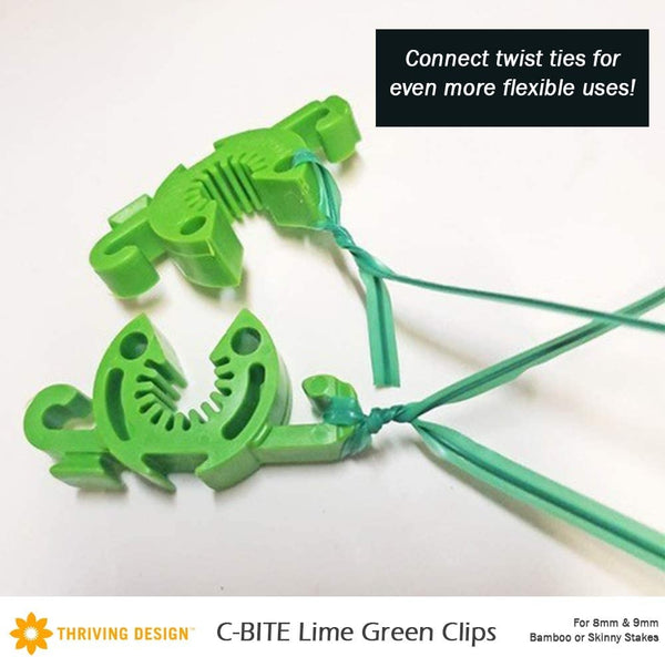 C-BITE Lime Green - 8-9mm - Thriving Design
