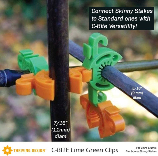 C-BITE Garden Stake Clips - 50-50 Assortment of 100 Orange and Lime Stake Clips - Thriving Design
