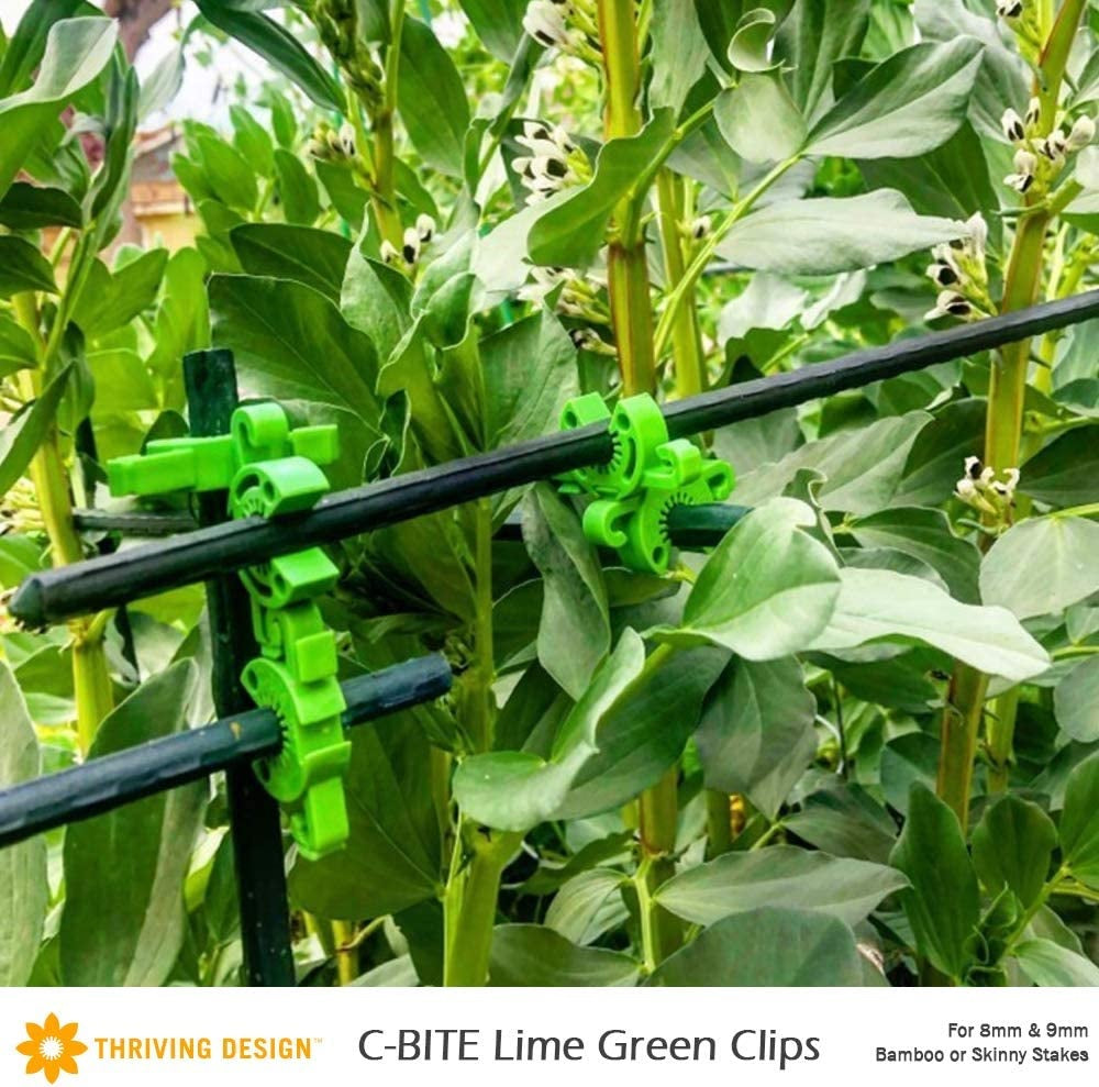 C-BITE Lime Green - 8-9mm - Thriving Design