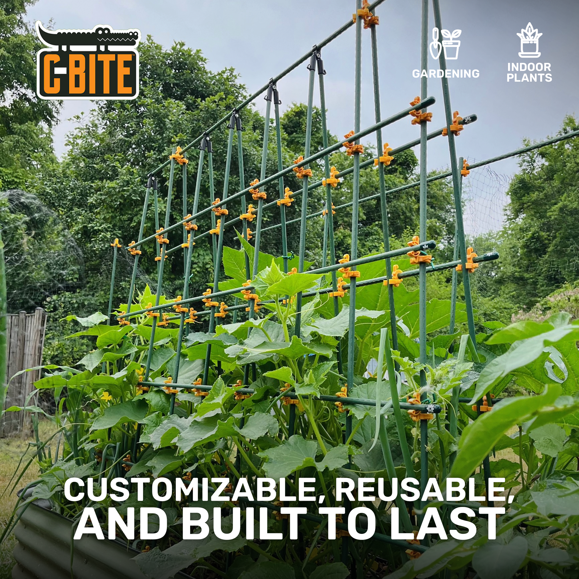 The Four Foot ++ Far Reacher Plant Support Kit