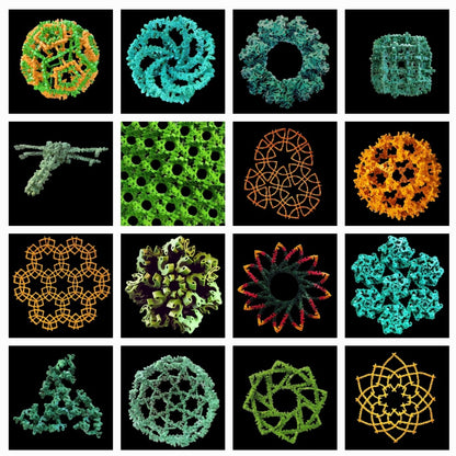 GEOMETRY BITES - Soft Form — Limited Geometry Edition