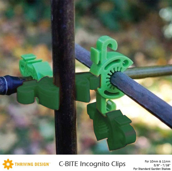 C-BITE Lime Green - 8-9mm - Thriving Design