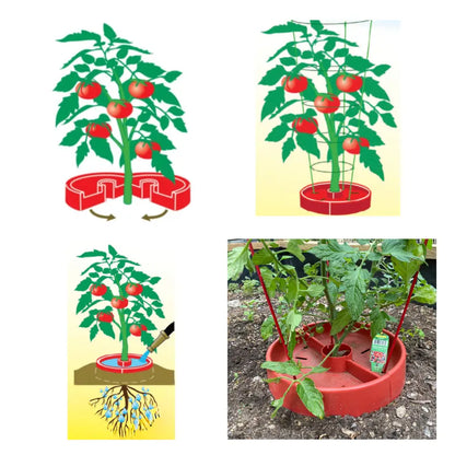 Tomato Crater 12-Inch Gardening Tool – Boosts Yields, Saves Water, Made in USA, 3PK