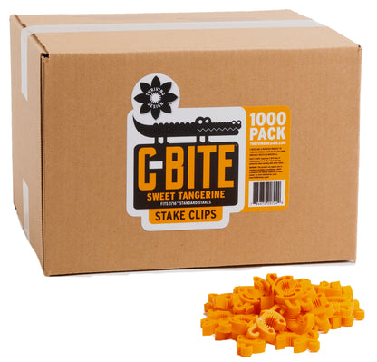 C-BITE Orange - 10-11mm - Thriving Design